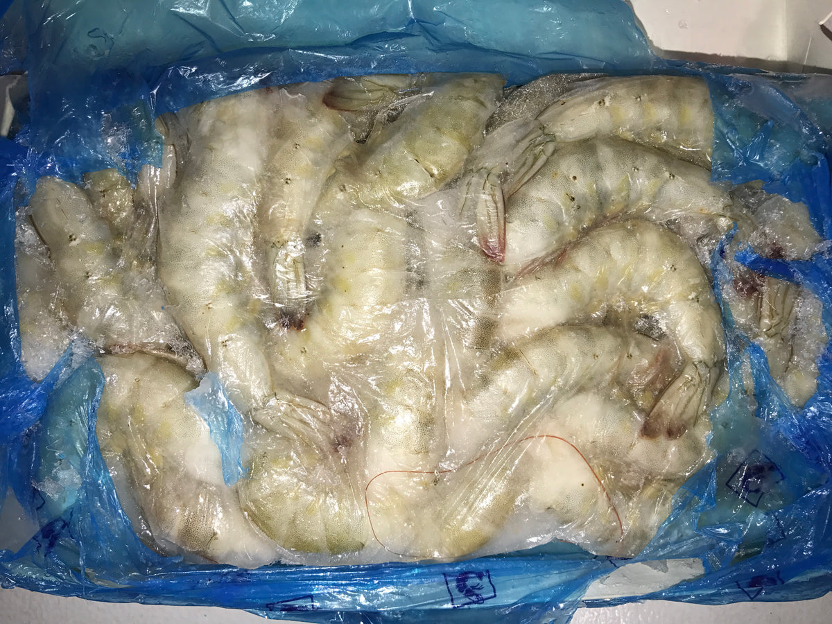HEAD-LESS WHITE SHRIMP (4 LBS/BOX) - ECUADOR - CHAMPMAR BRAND