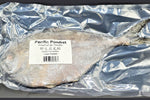 Pacific Pomfret