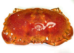 ROCK CRAB WHOLE COOKED - CANADA CLEARWATER BRAND