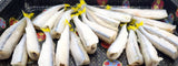 Sea Smelt (Headless)