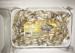ANCHOVY WHITE
