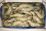 HEAD-ON WHITE SHRIMP (4 LBS/BOX) - ECUADOR - CHAMPMAR BRAND