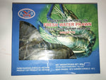 Green Tiger Shrimp
