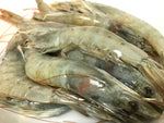 Ecuador Shrimp | Ecuadorian Shrimp | Safe Shrimp | HACCP | Environmentally Friendly
