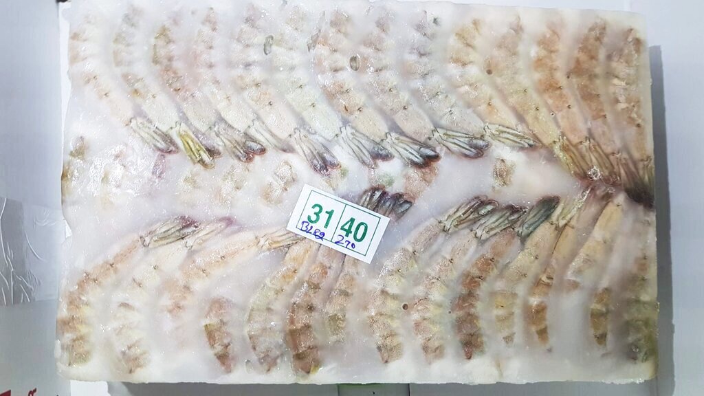 White Raw Headless Block Frozen Shrimp - Unistar – Ocean Packers