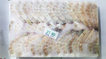 White Raw Headless Block Frozen Shrimp - Unistar